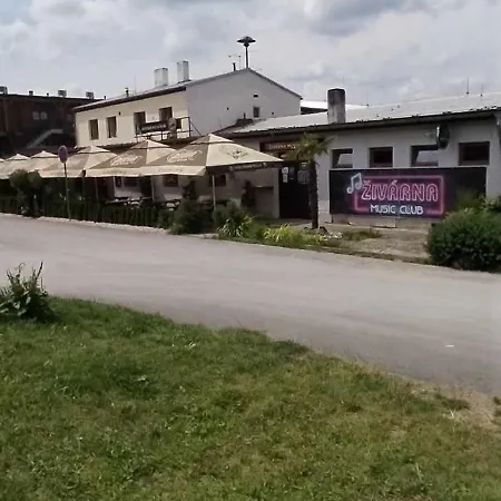 Guest house Penzion U Sedu *
