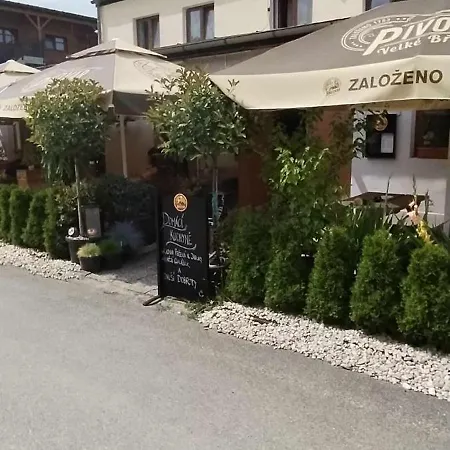 Penzion U Sedu Guest house